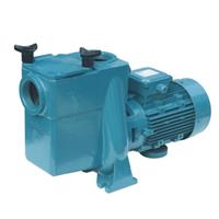 愛克游泳池循環(huán)水泵