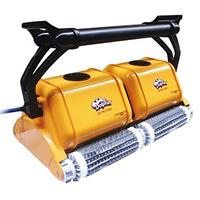 泳池清潔設備-海豚雙排