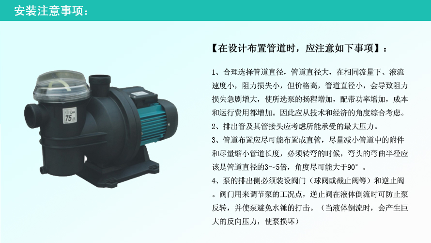 專業泳池循環泵